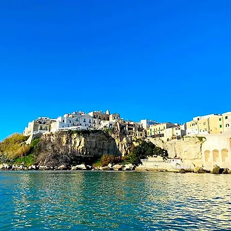 호텔 Punta San Francesco 비에스테